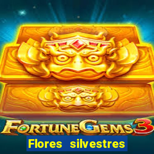 Flores silvestres brasileiras brasileiras flores silvestres nomes e imagens